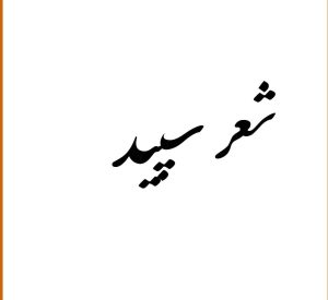 شعر سپید